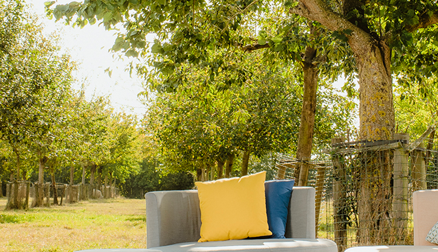 Gezond geroosterd brood module Lounge zetel buiten : ontdek ons gamma | Outdoor Living